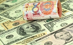蠊虫是什么虫